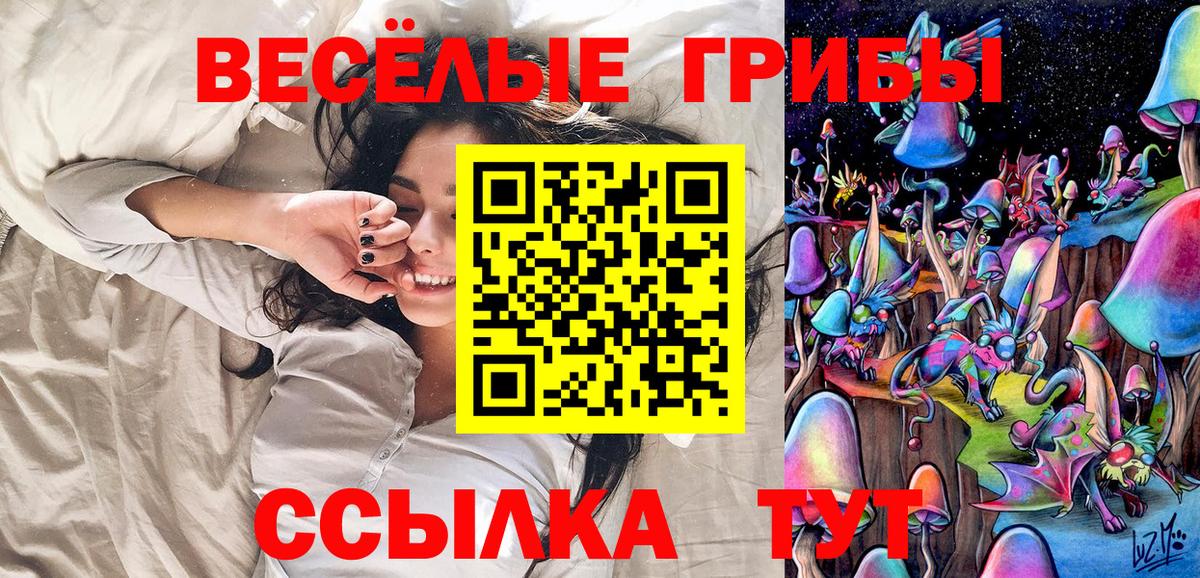 Псилоцибиновые грибы мухоморы  Вход с VPN  Соль-Илецк 